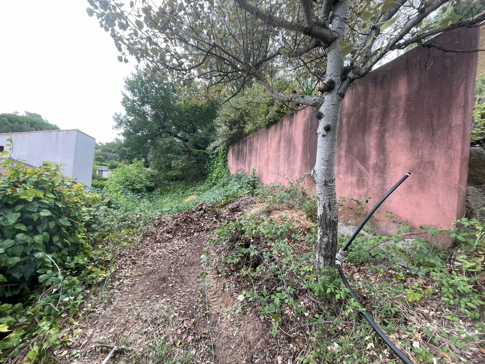 Terrain avant aménagement