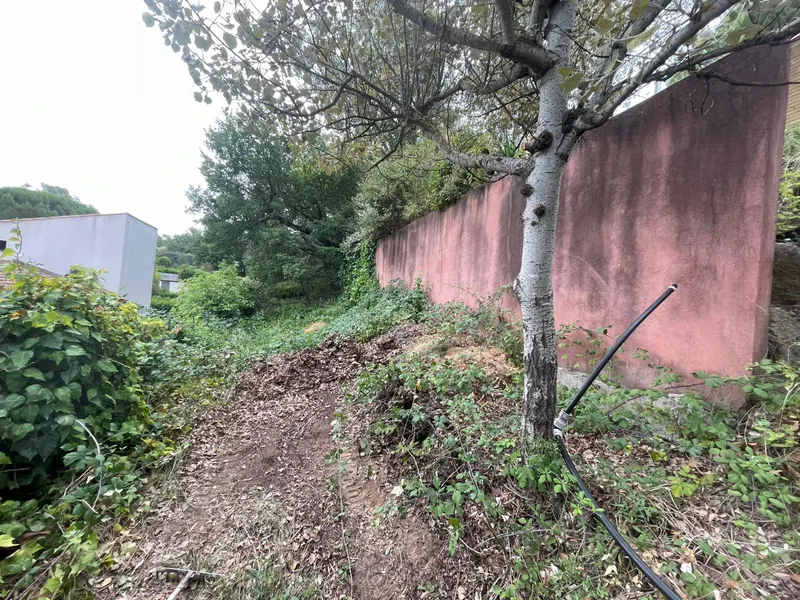 Terrain avant aménagement